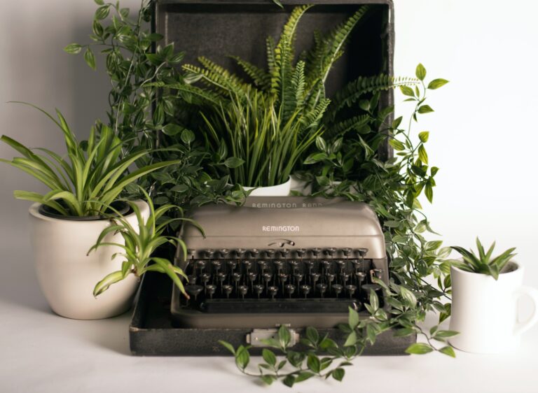 Schreibmaschine auf der Pflanzen stehen